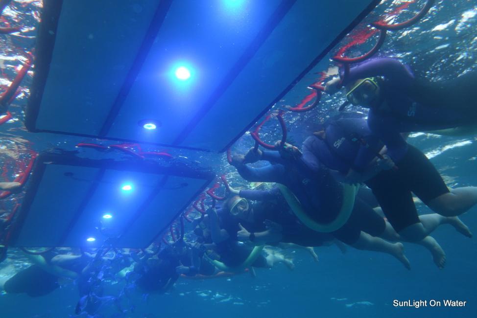 マンタの遊泳、ホヌの遊泳 ２パネルセット ビッグアイランド・マンタ・レイ・ナイトツアー（シュノーケル用具と