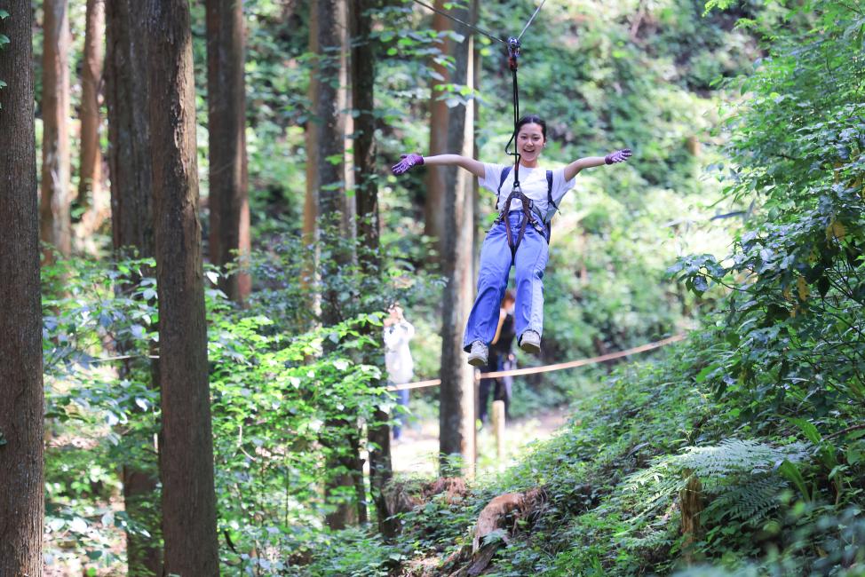Forest Adventure Odawara: Ziplining in a 300-Year-Old Forest - KKday