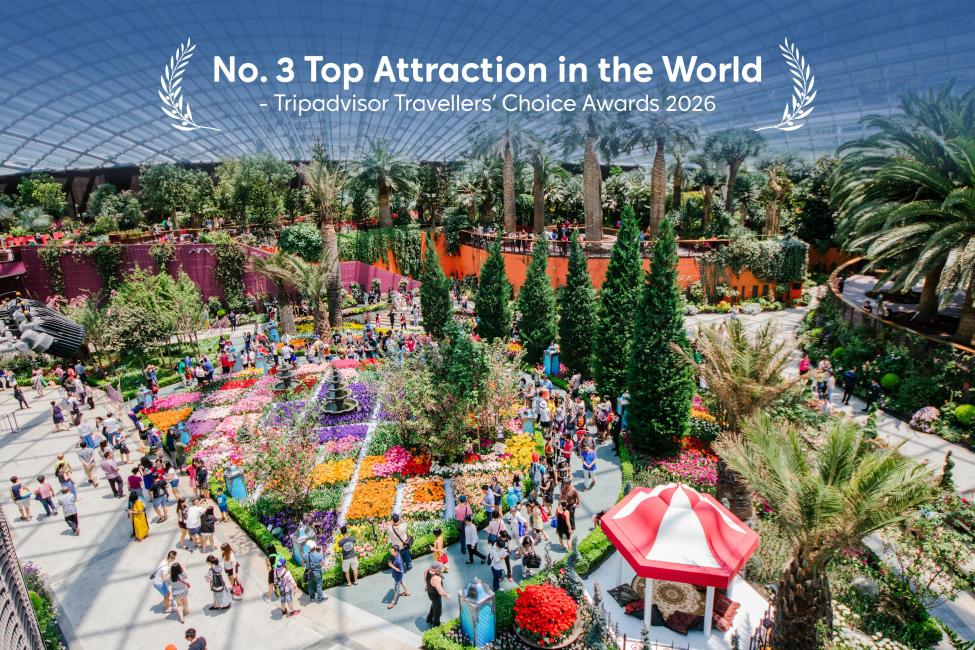 Gardens by the Bay Singapore Tickets | Official Entry - KKday