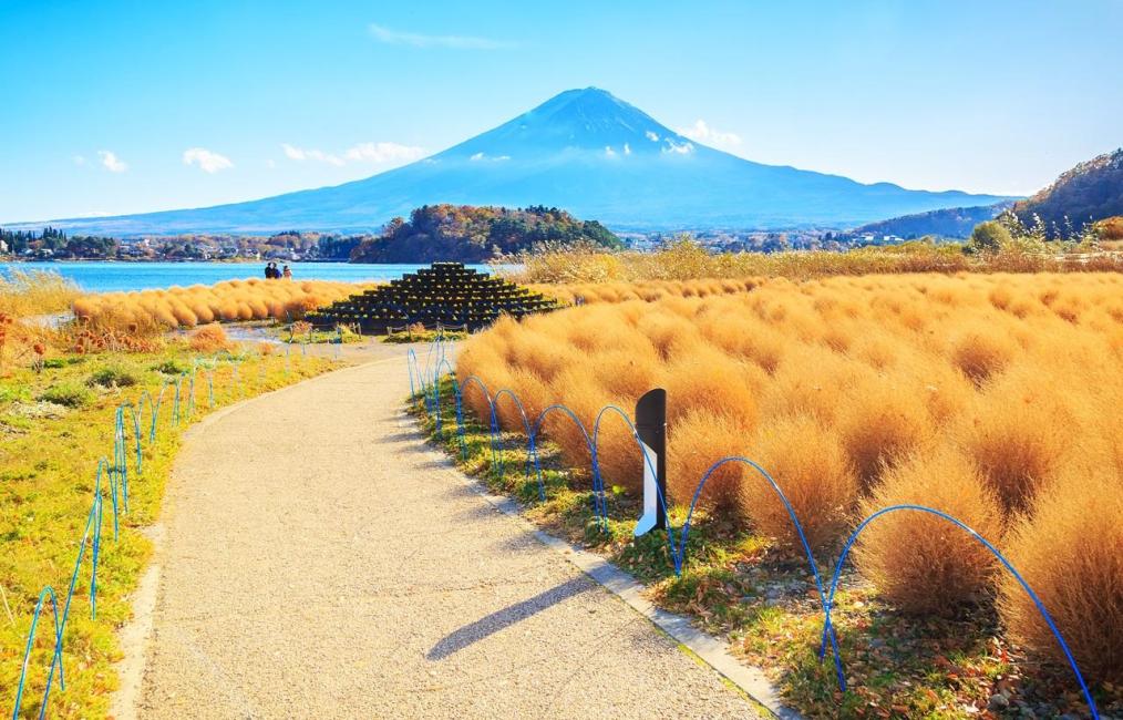 富士山河口湖＆新倉山淺間公園一日遊｜大石公園夕景＋夜遊雙景體驗