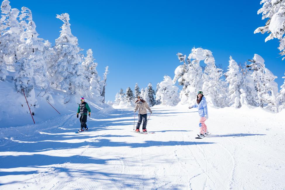 長野 志賀高原 横手山・渋峠スキー場 夜発往復バス＋リフト券セット