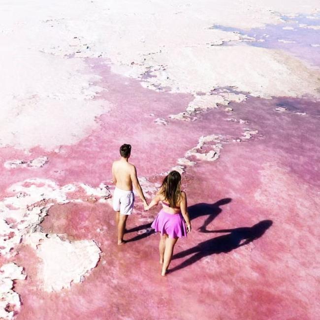 10%割引] 西オーストラリア ピンクレイク ネイチャーウィンドウ