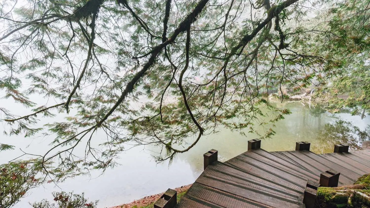位于嘉义必去热门旅游景点行程分享 网红户外私藏景点推荐综合整理 二万平风景区与北港观光大桥 等 Kkday