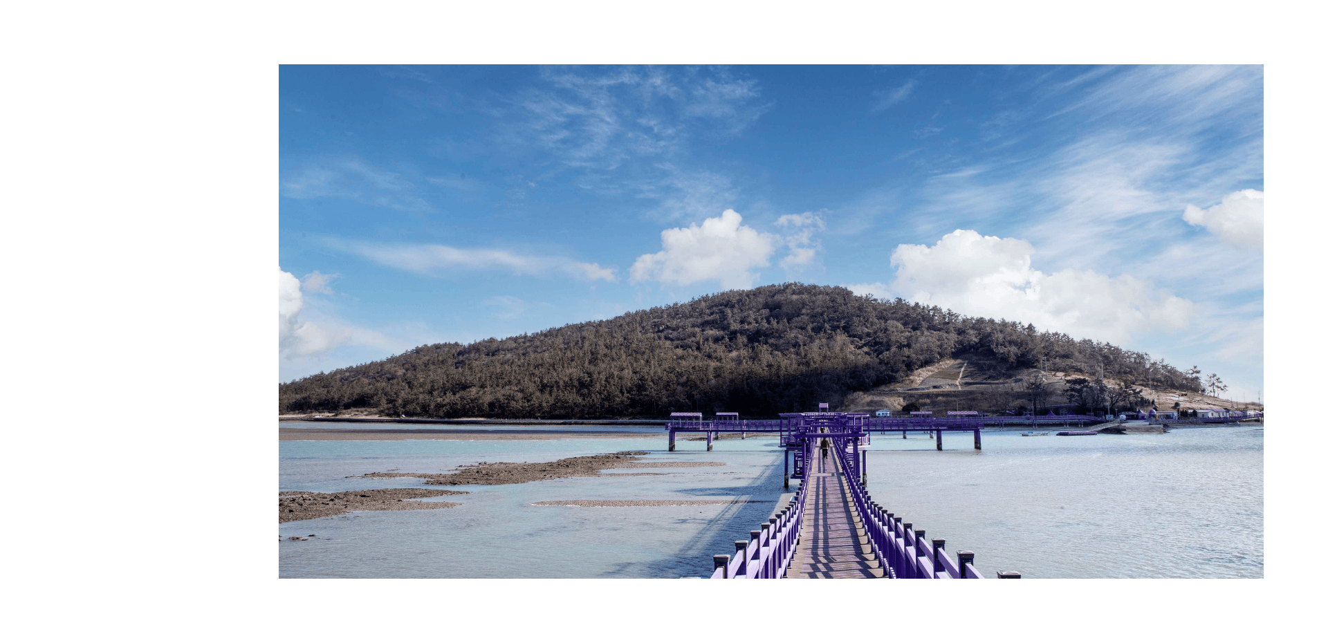 📍全羅南道-新安紫島(半月島·朴只島)