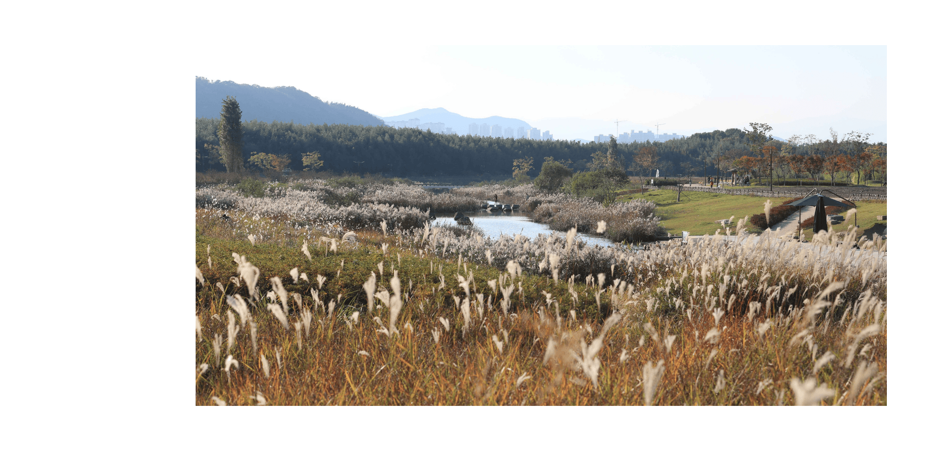 📍蔚山廣域市-太和江國家庭園