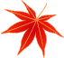 Falling Leaf