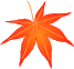 Falling Leaf