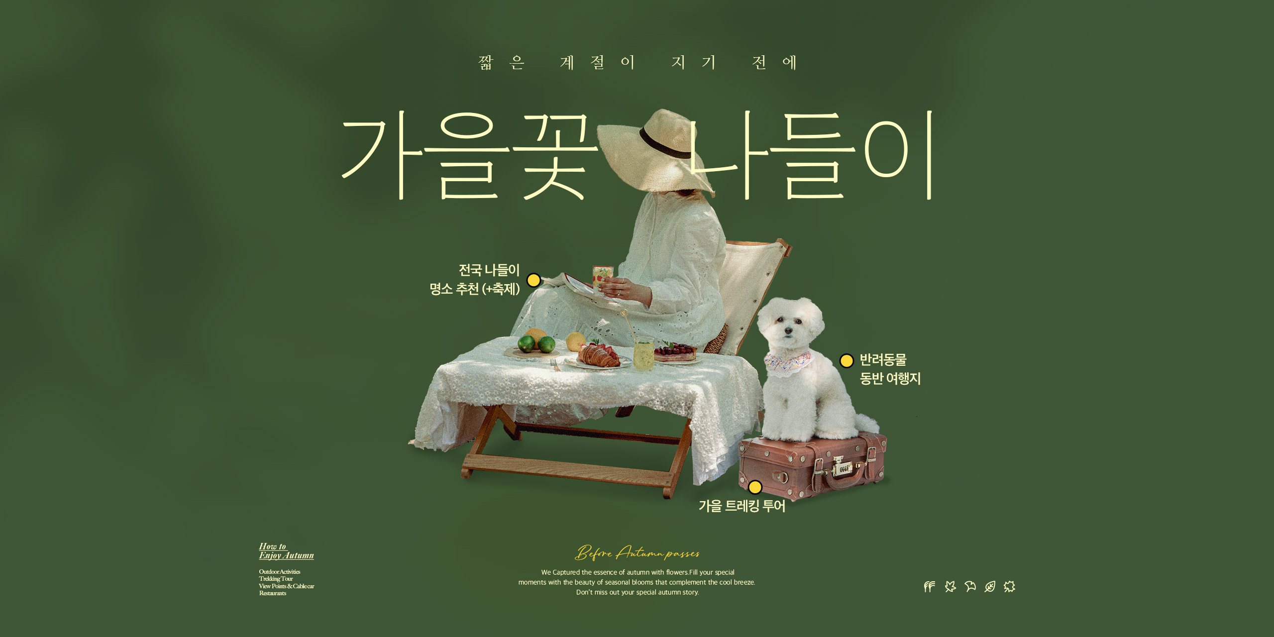 가을꽃 나들이