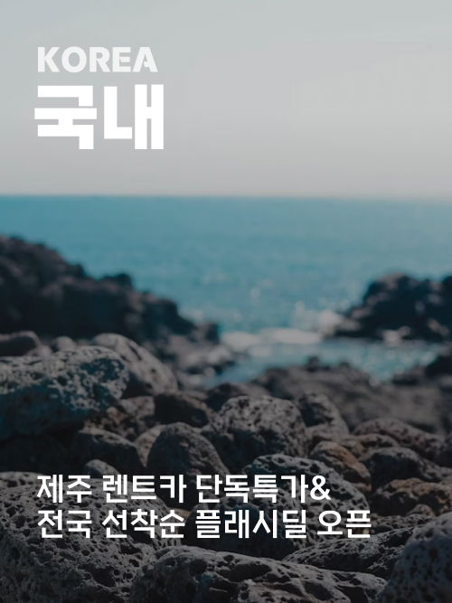 국내