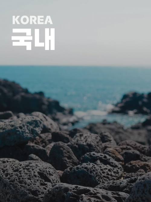 국내