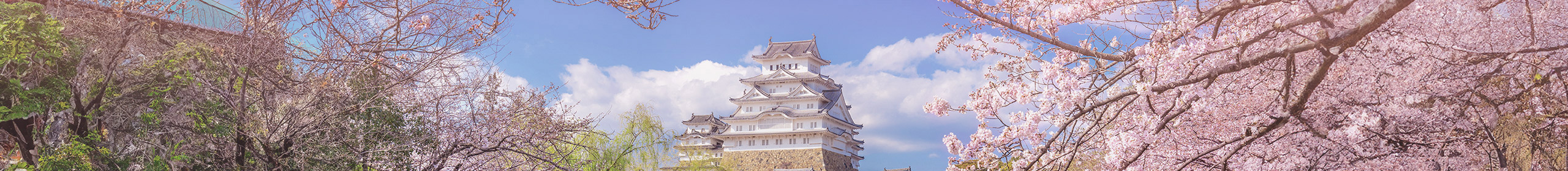 삼성카드키비_1