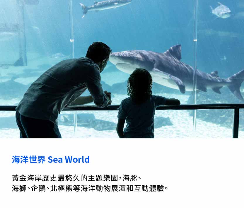 圖片 5