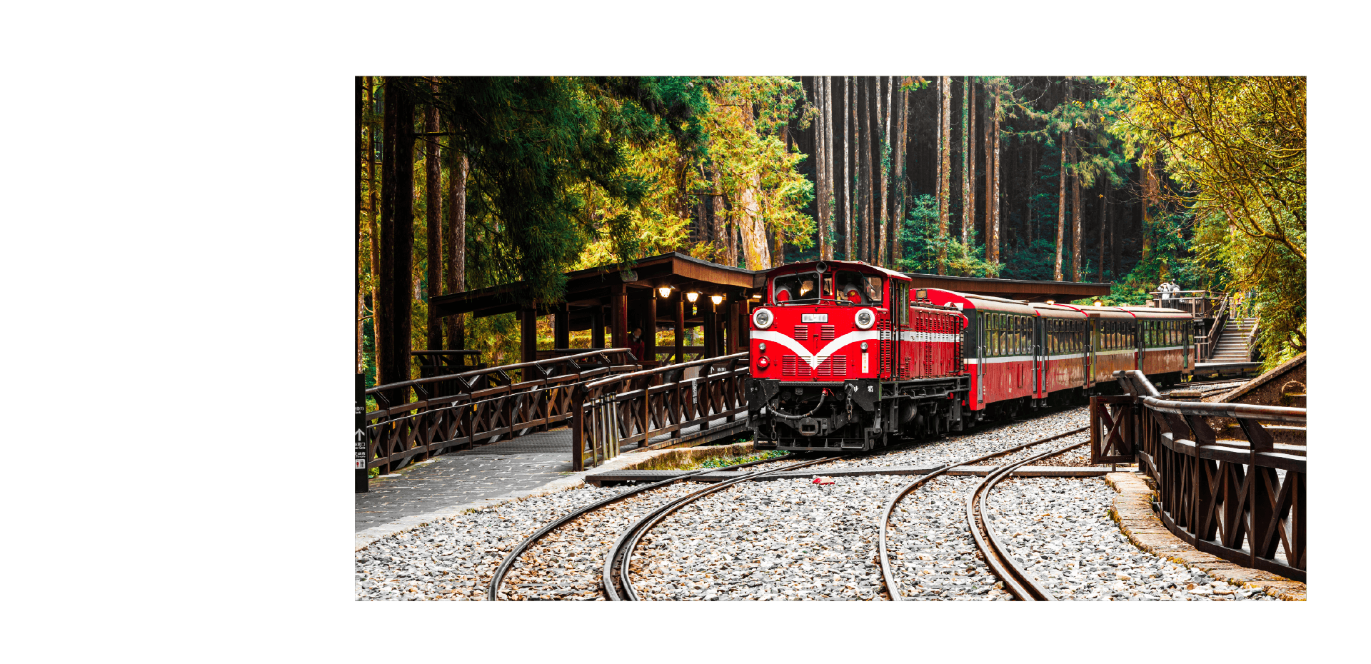 📍阿里山小火車