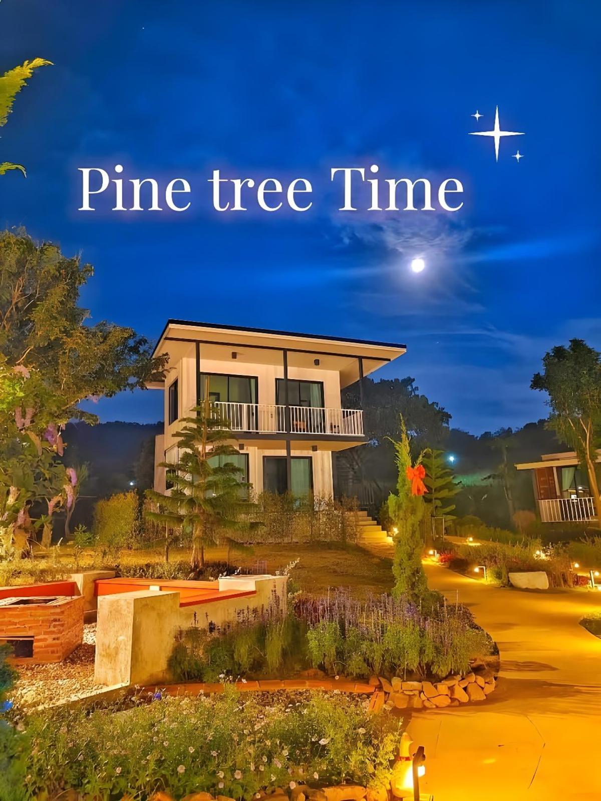 pine-tree-time-kkday