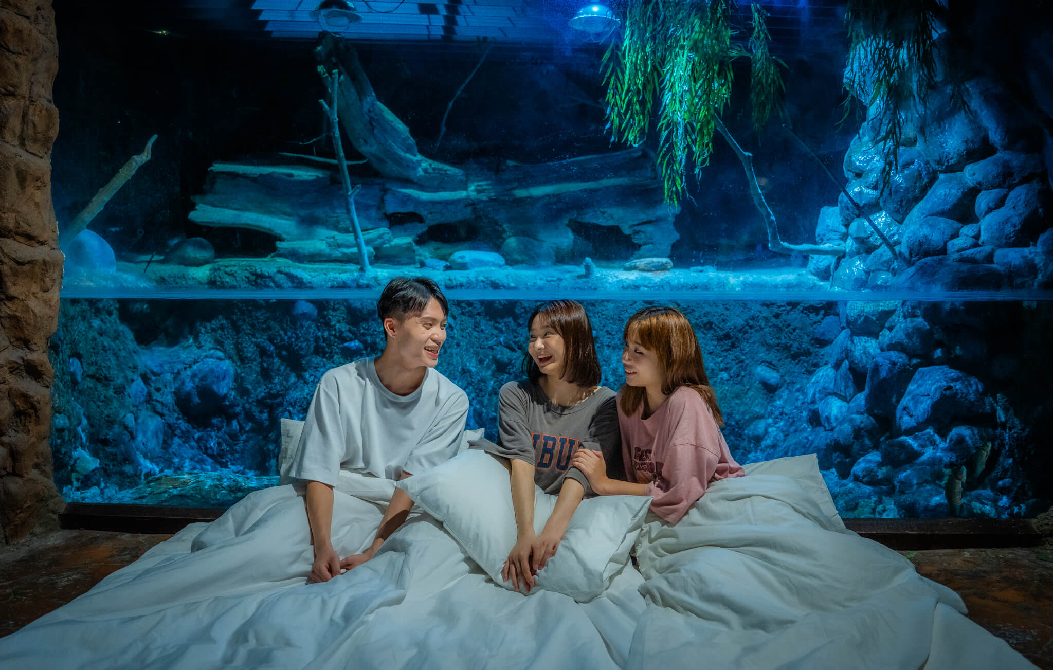 花蓮ファーグローリーオーシャンパーク | 海は眠らない - KKday