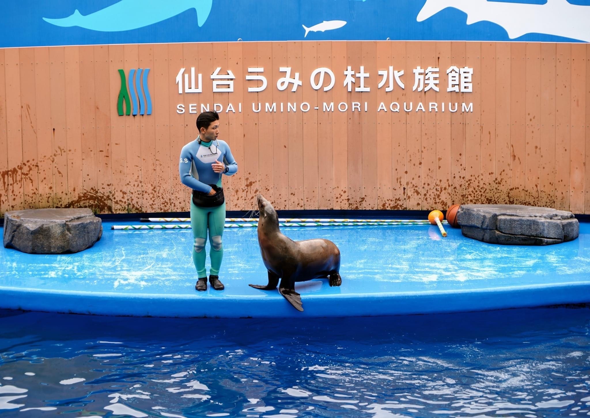 仙台うみの杜水族館 前売り入場チケット（宮城県 仙台市） - KKday