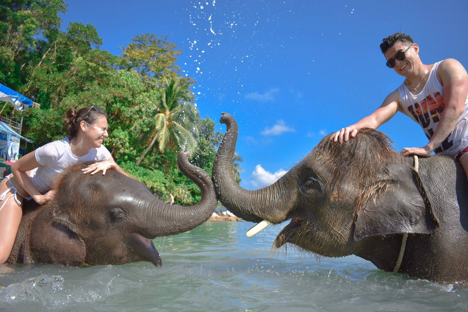 Swimming Elephant. 39964 Kare swimming Elephant.