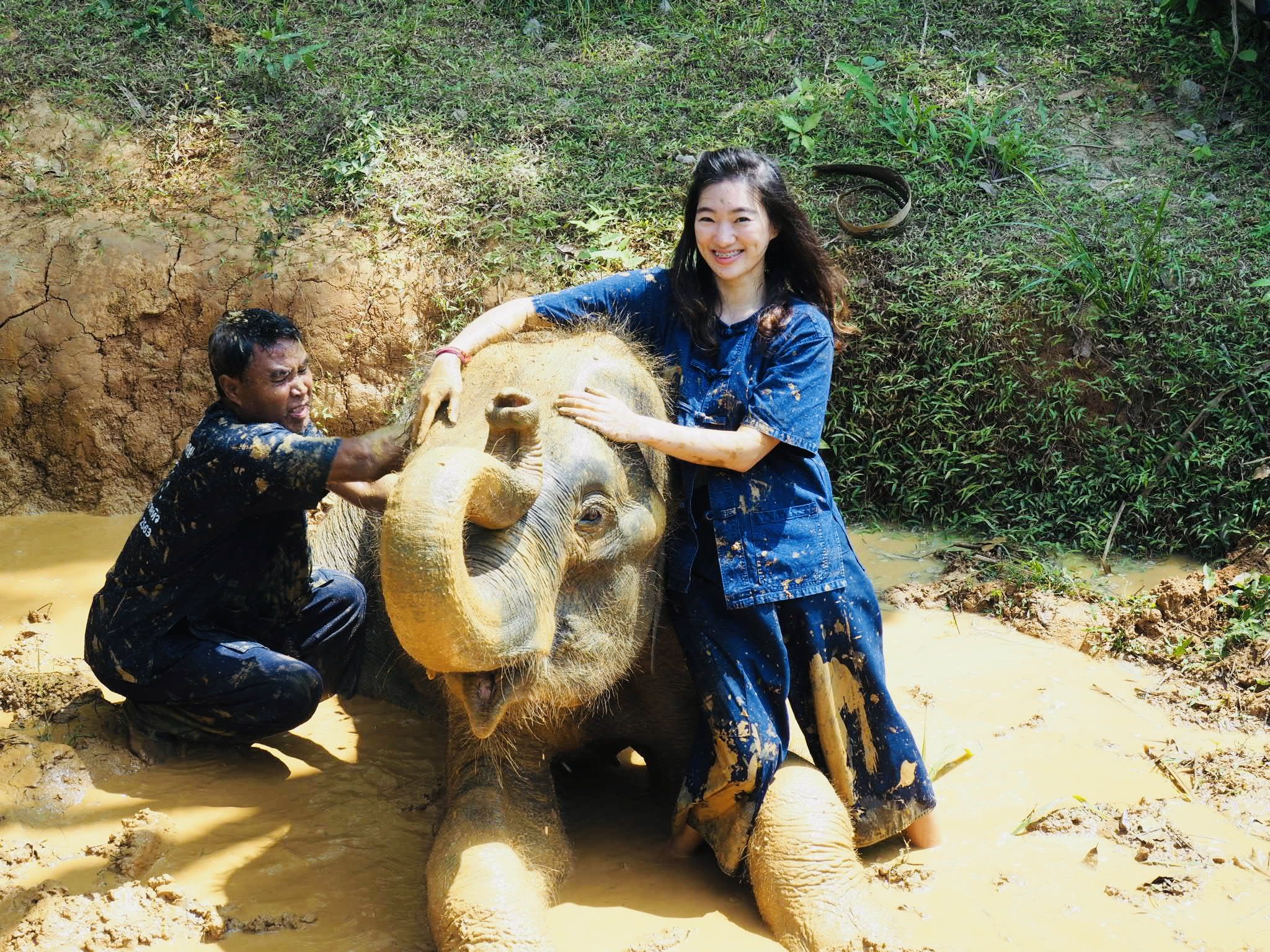 All Elephant Home Phuket Kkday