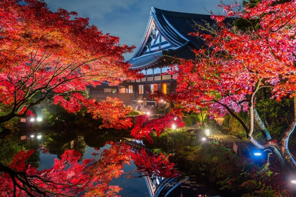 京都 くろ谷 金戒光明寺 特別夜間拝観 紅葉ライトアップと邦楽の演奏 21 11 12 12 5開催 Kkday