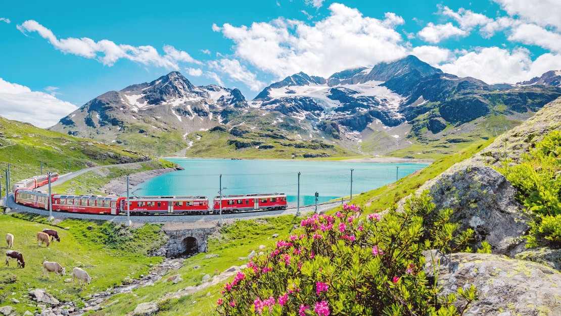 瑞士半價卡 Swiss Half Fare Card