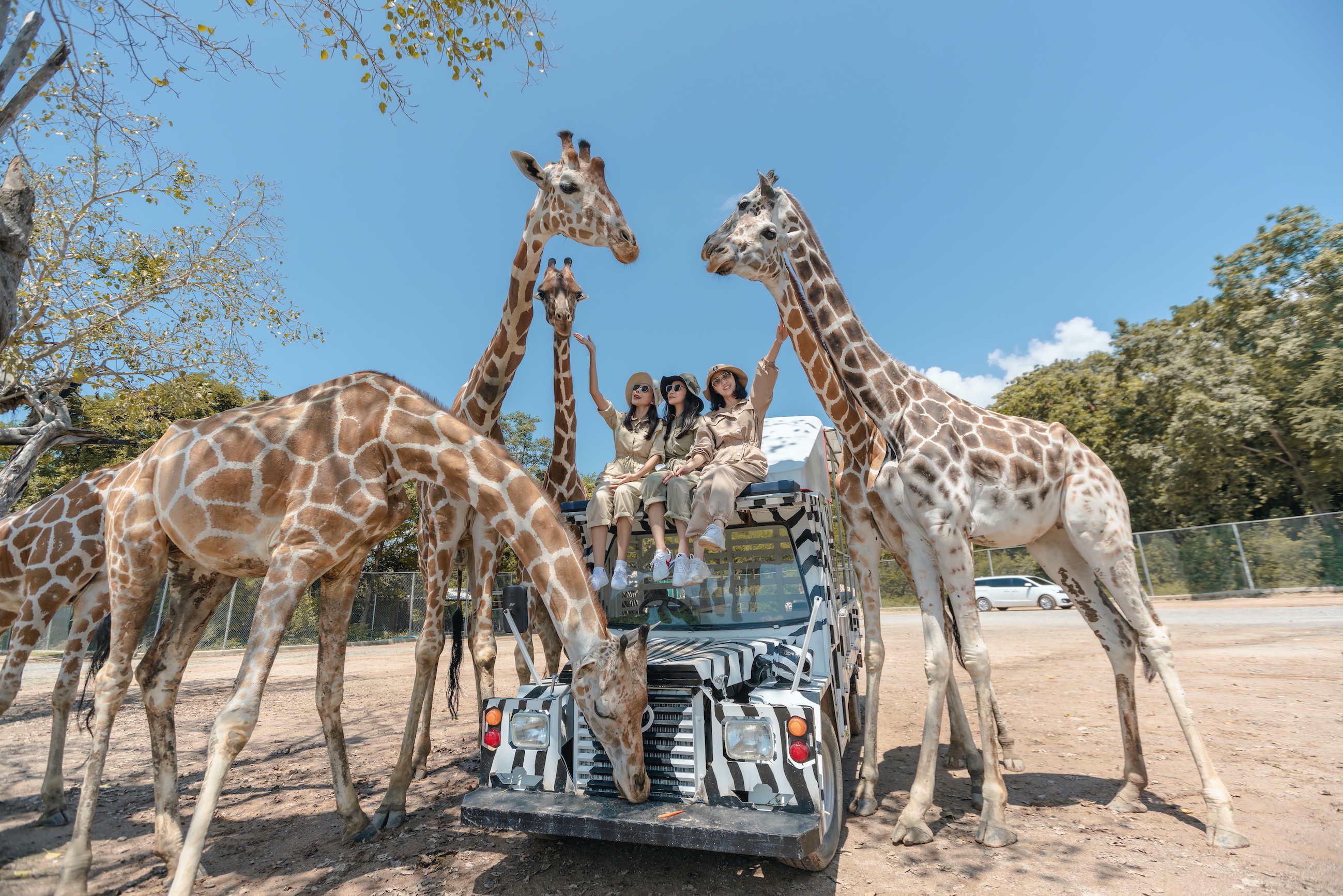 safari park kanchanaburi tour