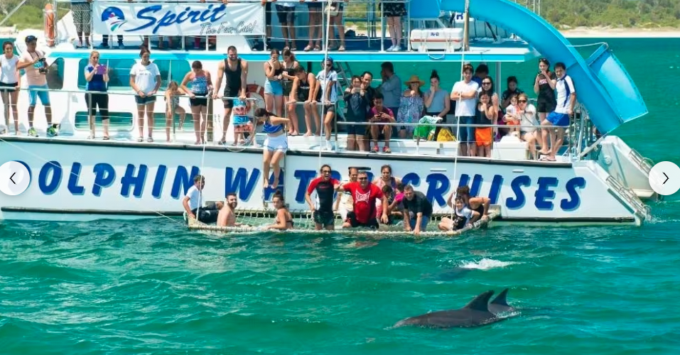 moonshadow dolphin cruises
