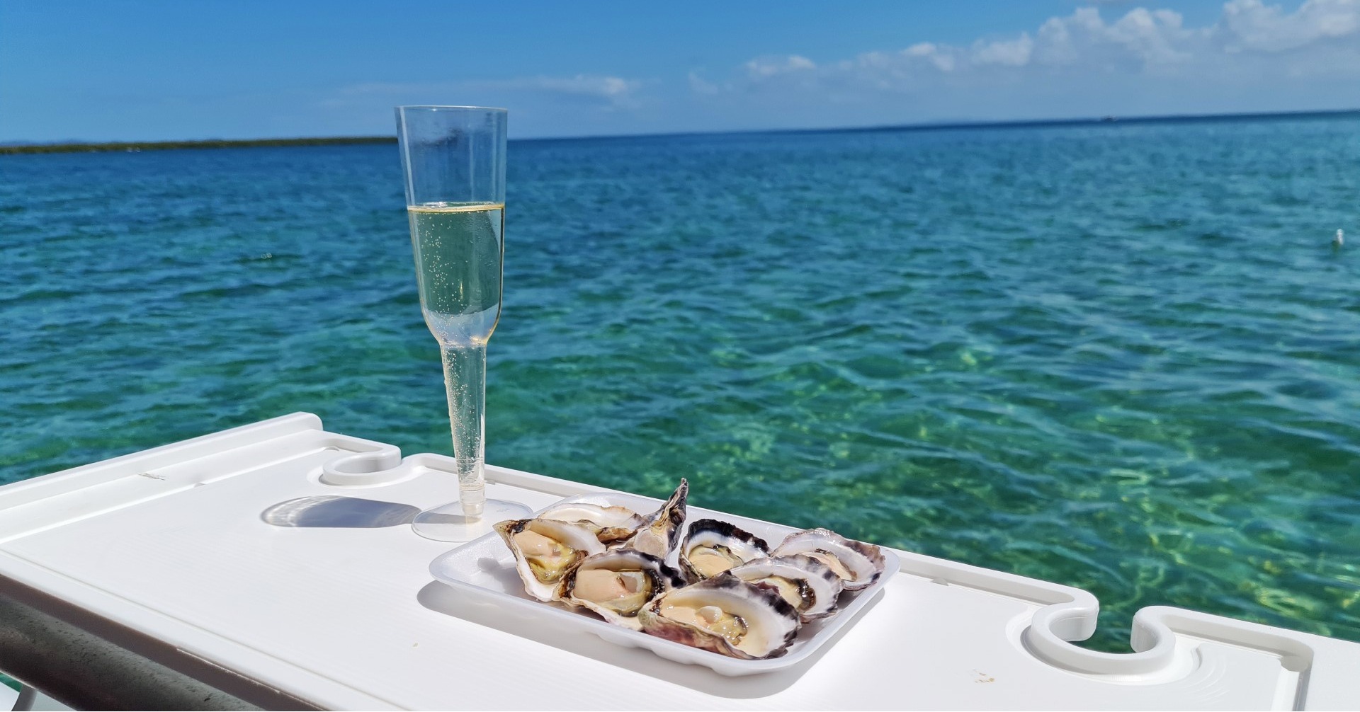 Champagne and Oyster Tour from Brisbane Queensland KKday