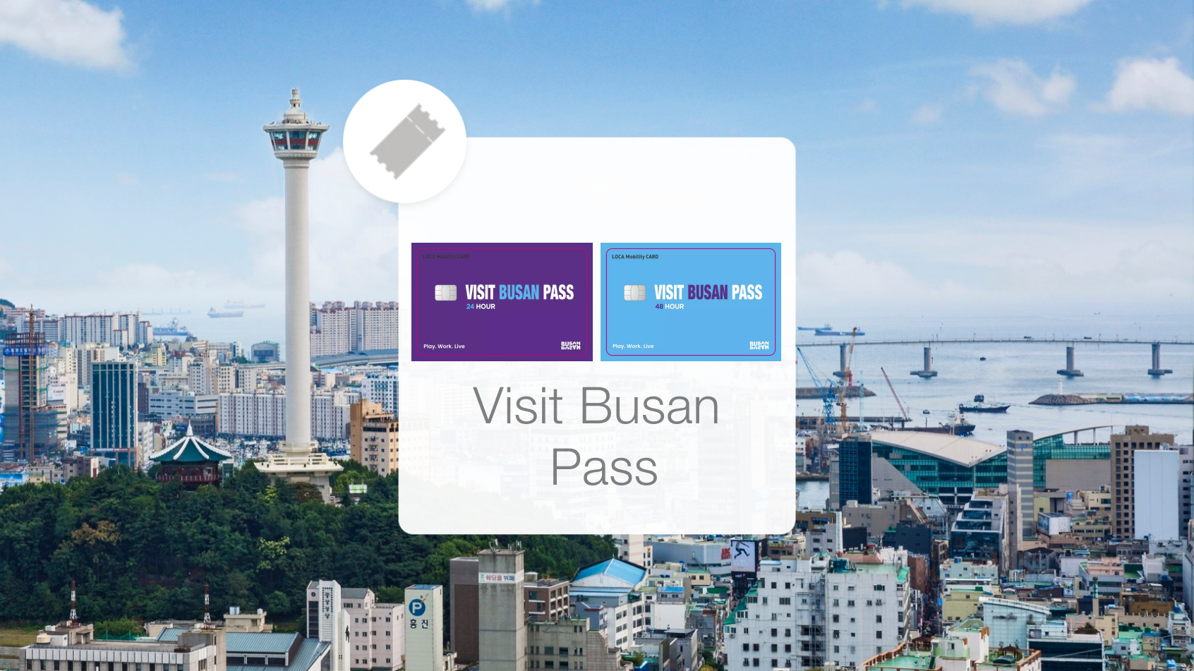 visit busan in march 2023