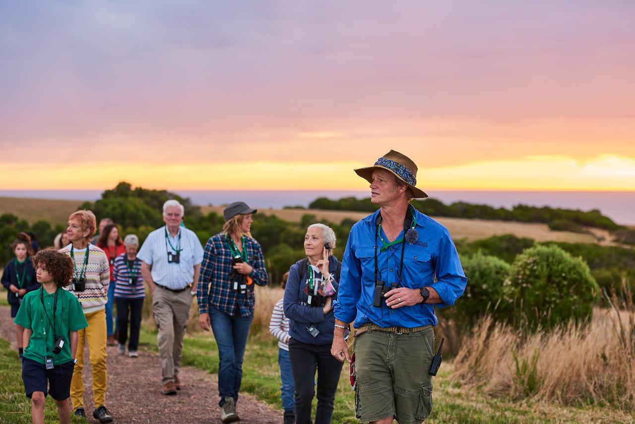 90 minute dawn discovery tour at wildlife wonders victoria kkday