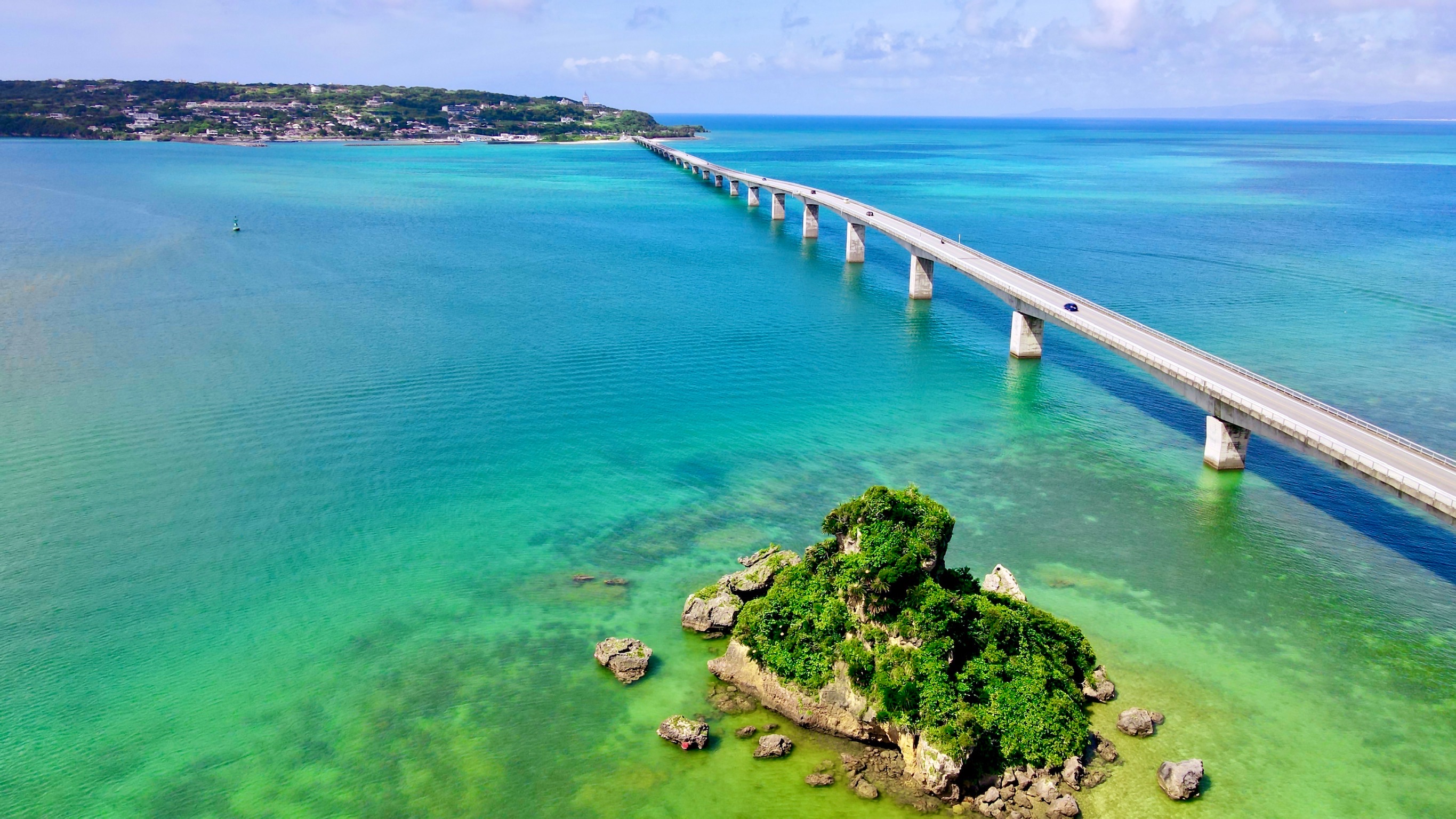那覇発沖縄北部1日観光バスツアー｜首里城・古宇利島・美ら海水族館―3