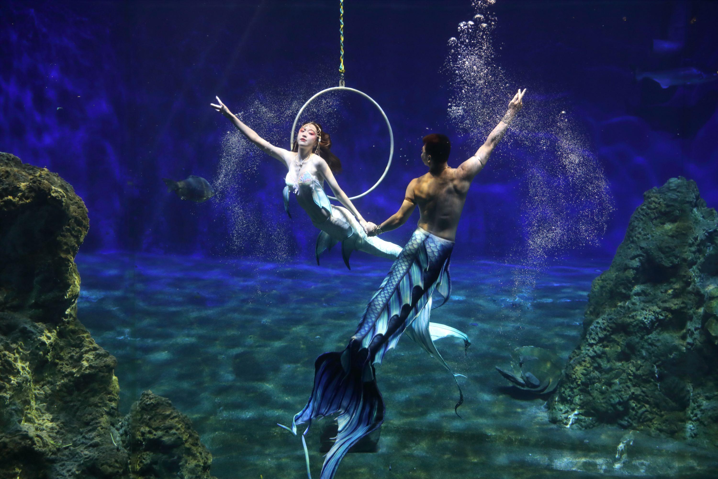 ムーンパープル海辺物語パネル生地　ハンドメイド 花蓮遠雄海洋公園｜夢のようなマーメイドナイトを満喫する1日＆2日