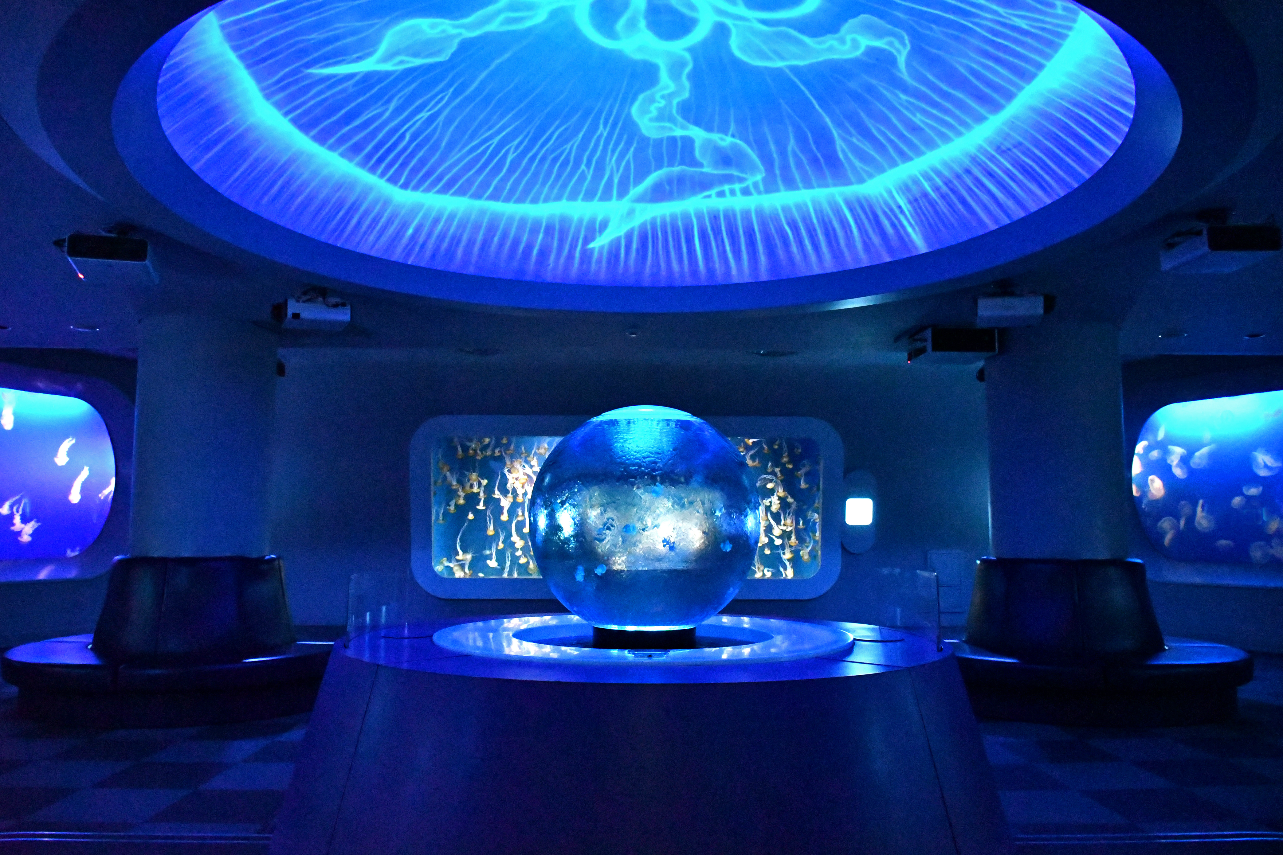 新江ノ島水族館 入場チケット｜神奈川県藤沢市 - KKday