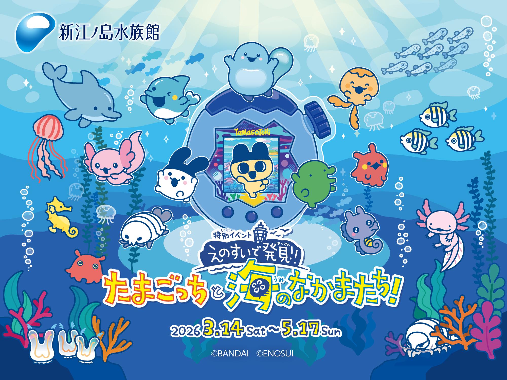 新江ノ島水族館 入場チケット（神奈川県 藤沢市） - KKday