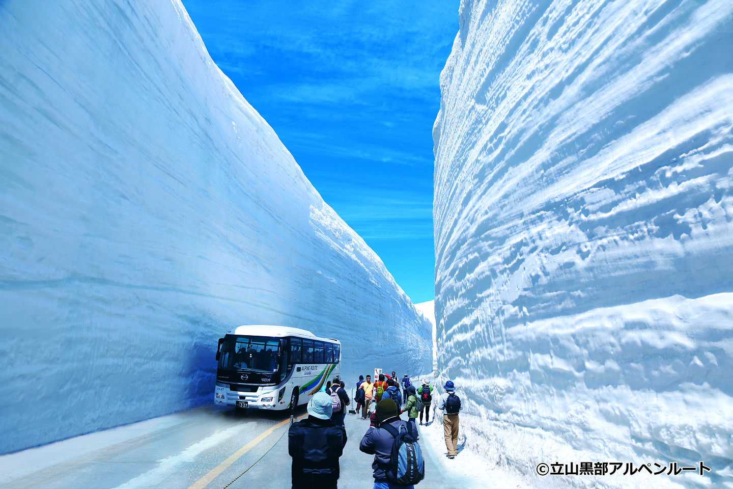 名古屋発立山雪の大壁日帰りバスツアー（中国語ガイド付き） - KKday