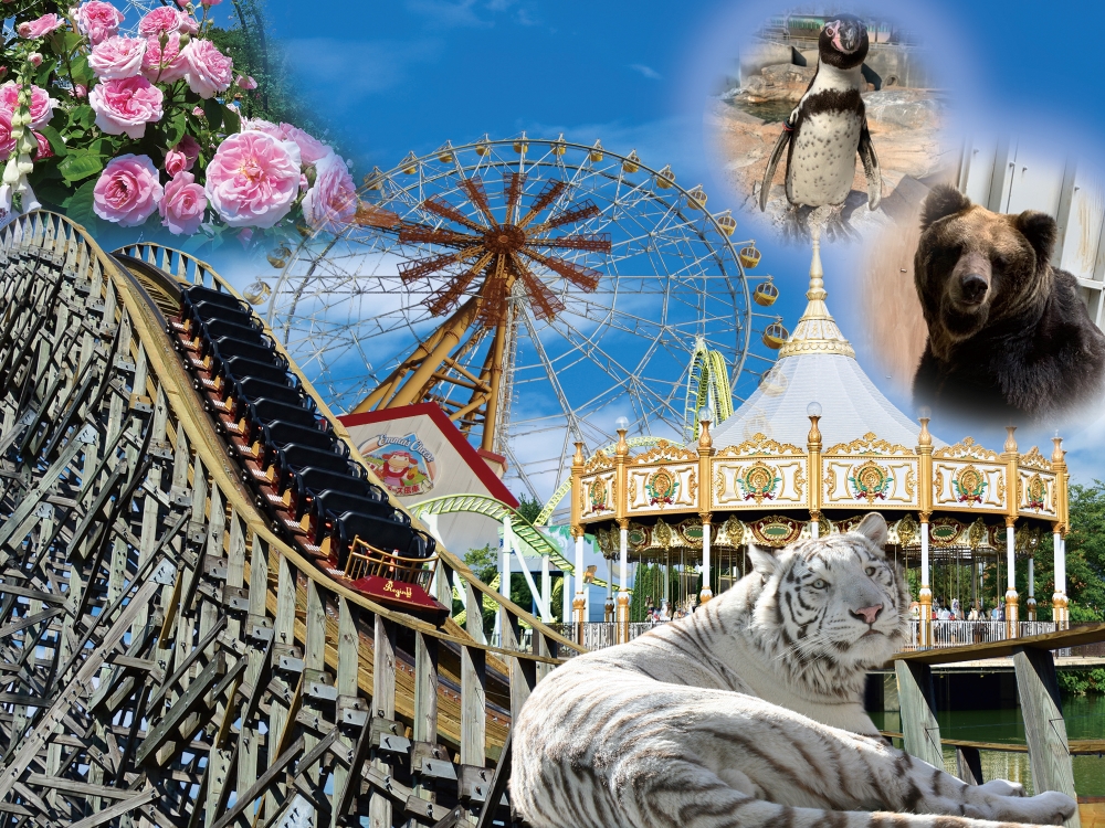 ハイブリッド・レジャーランド東武動物公園 アトラクションパスセット