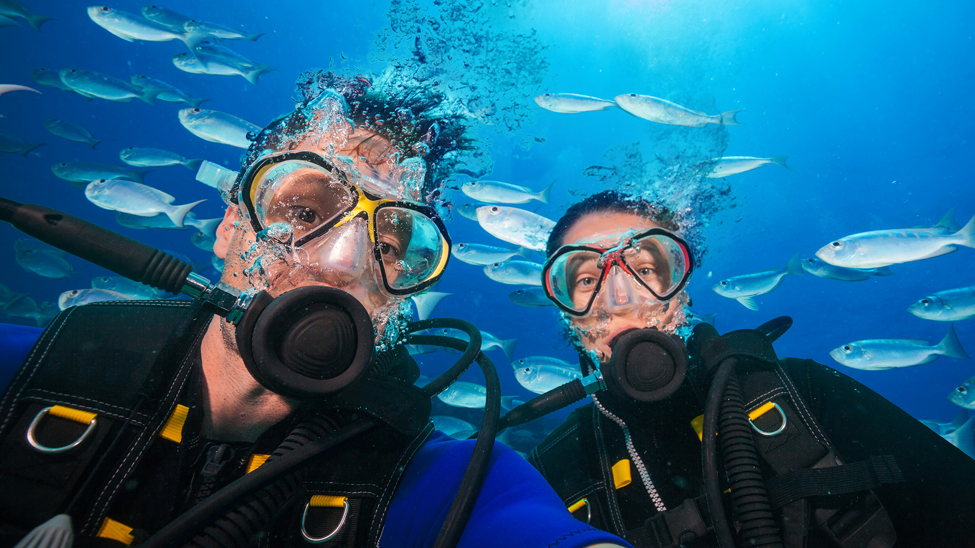 【【夏威夷免證照深潛】歐胡島威基基海域水肺潛水體驗