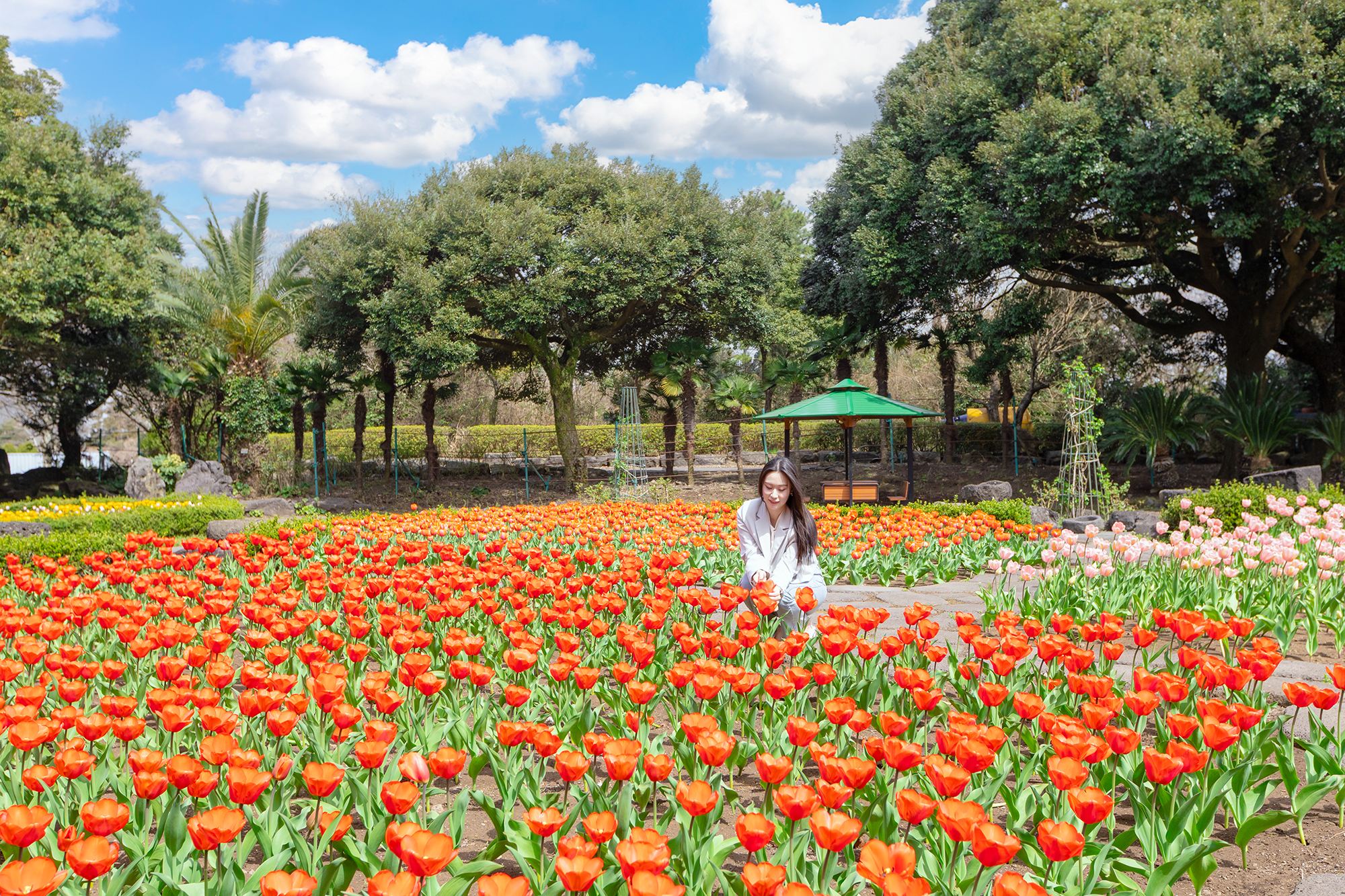 Korea Jeju Maze Land Ticket - KKday