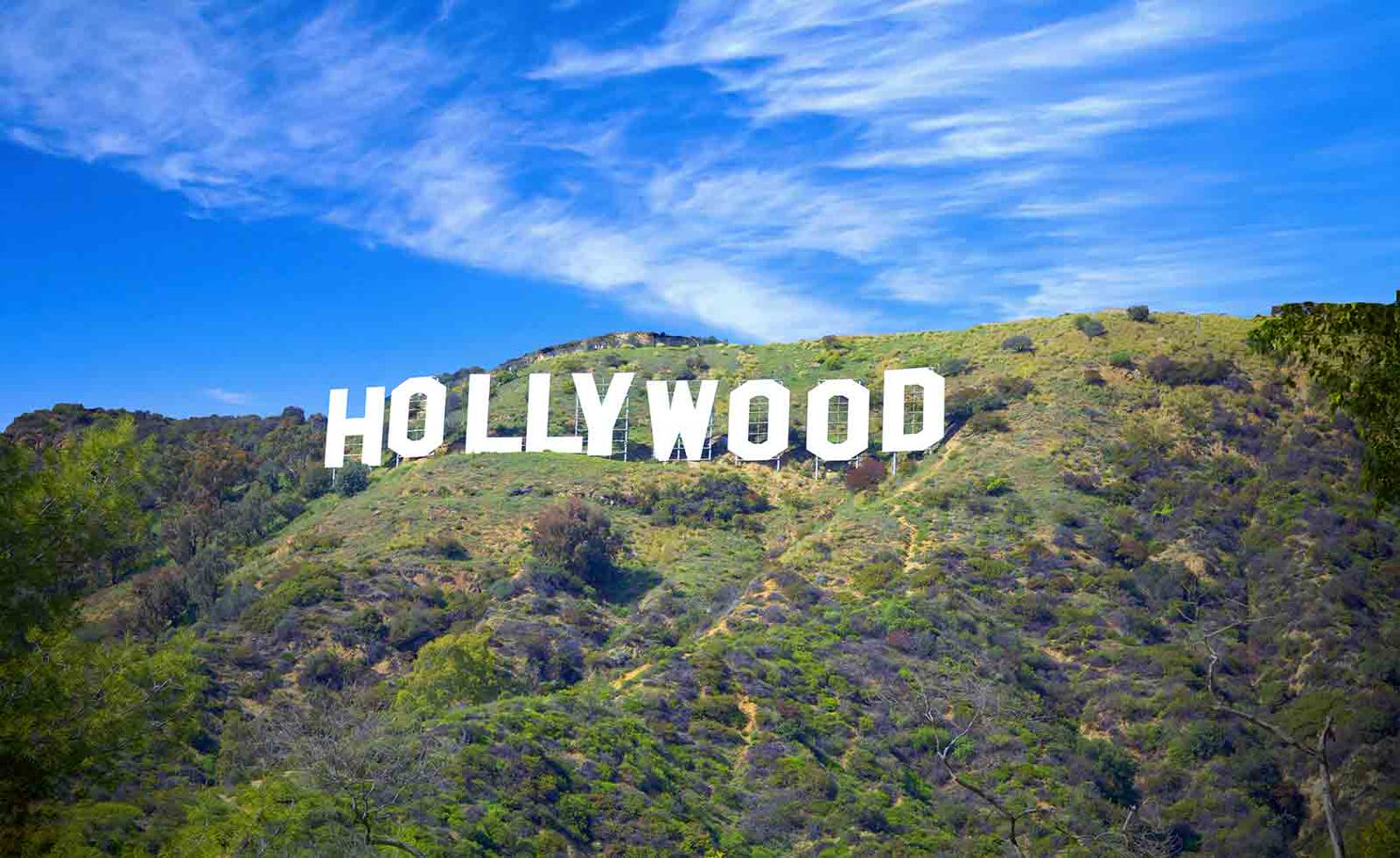 【【洛杉磯精神指標 】美國好萊塢標誌拼車來回接送服務