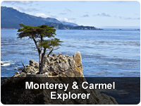 【【美國加州濱海之旅】蒙特利半島+卡梅爾小鎮一日遊（舊金山來回）