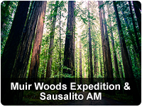 【Muir Woods Expedition & Sausalito AM with  Ferry Bay Cruise_PARTNER