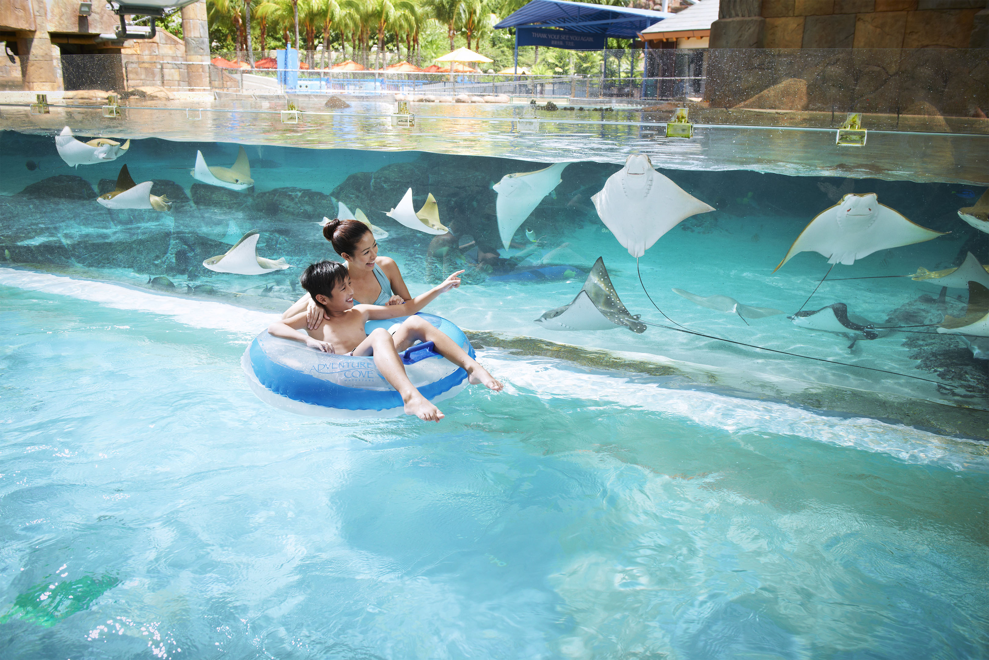 Singapore Resorts World Sentosa Dolphin Island Adventure Cove Water Park Kkday