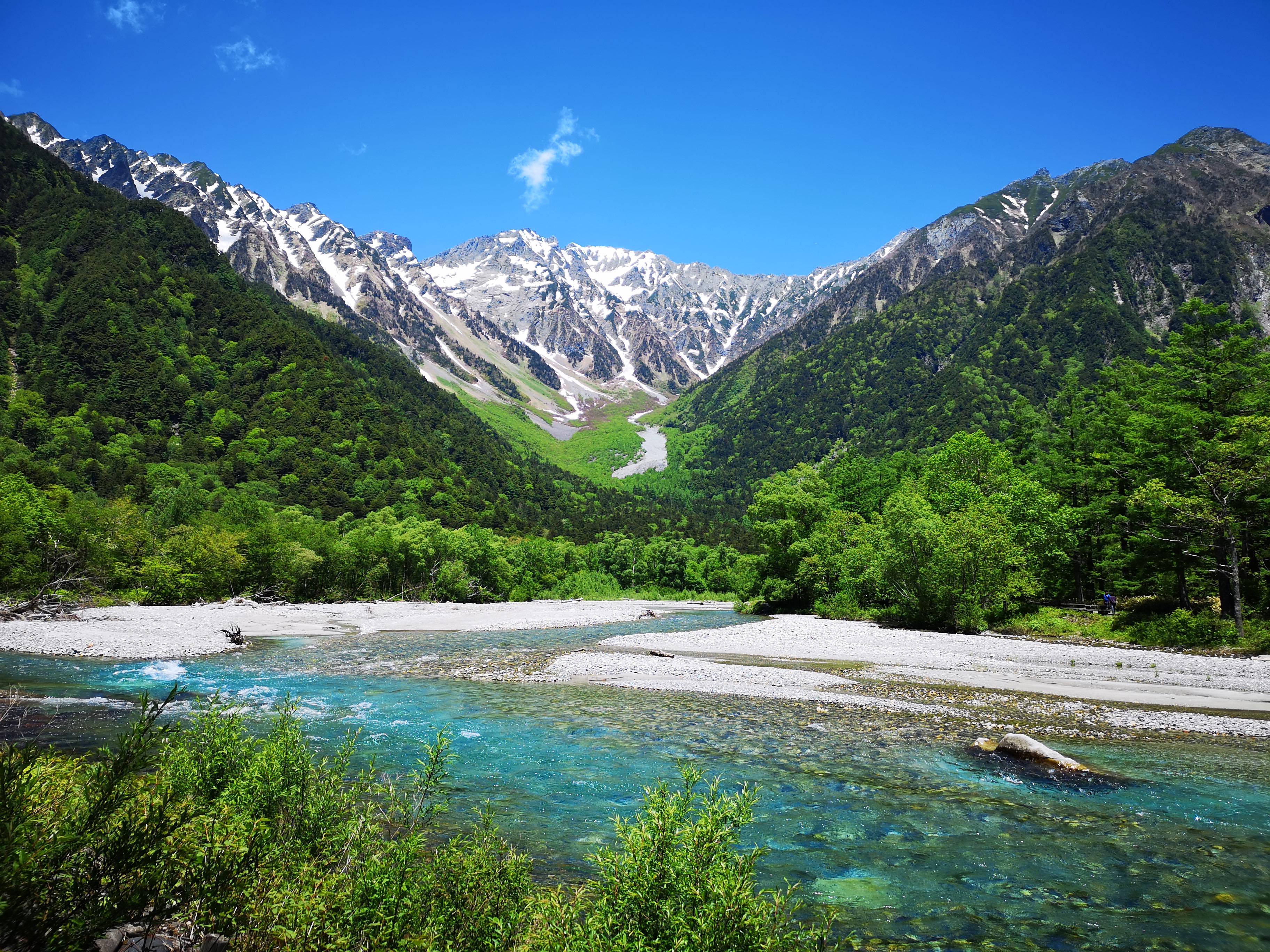 Nagano Lean Body Tonic main image 0