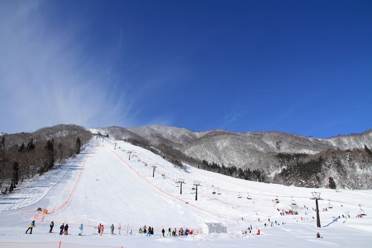 日本 長野県 白馬エイブル五竜スキー場＆Hakuba47リフト1日券＆スキー