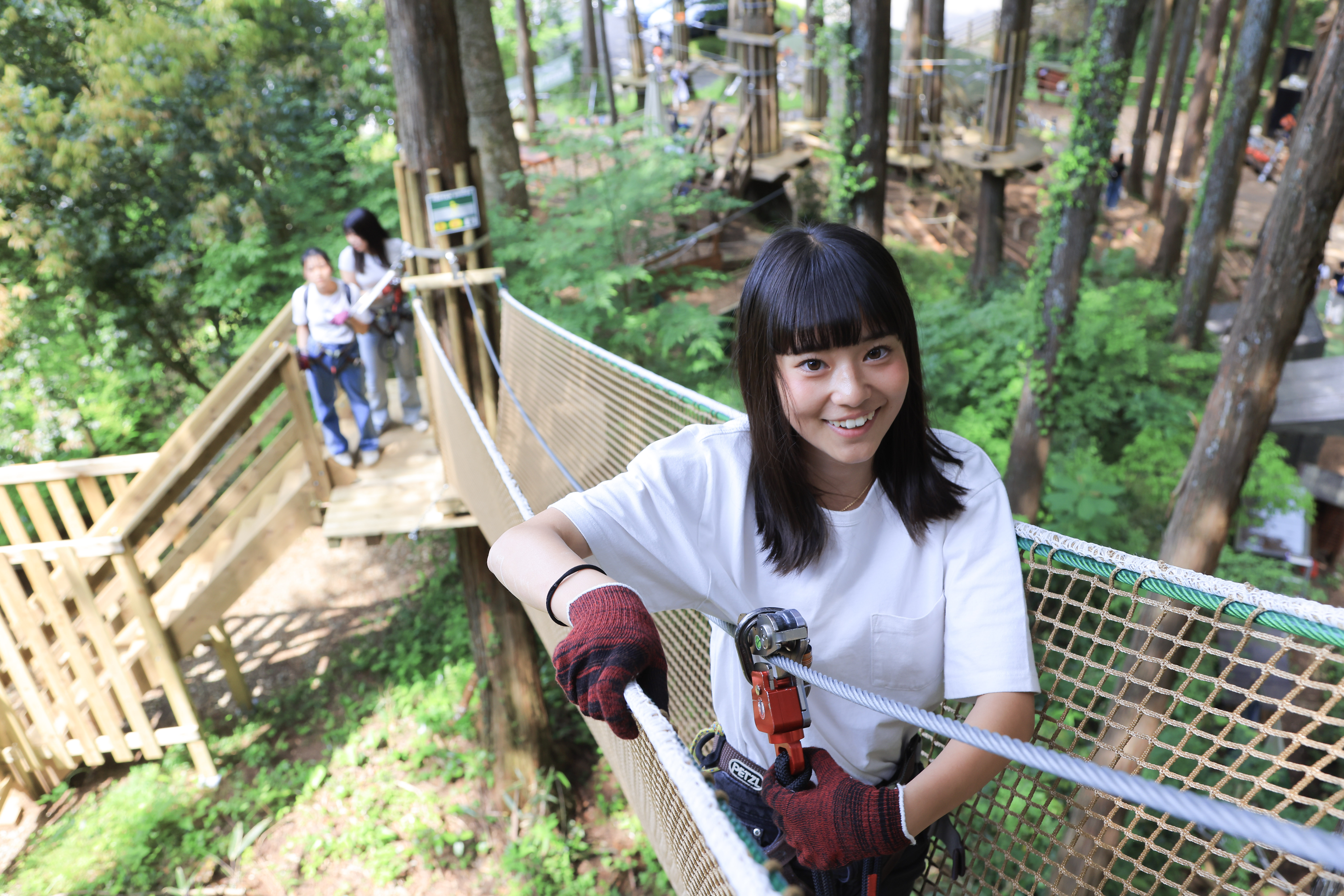 Forest Adventure Odawara: Ziplining in a 300-Year-Old Forest - KKday