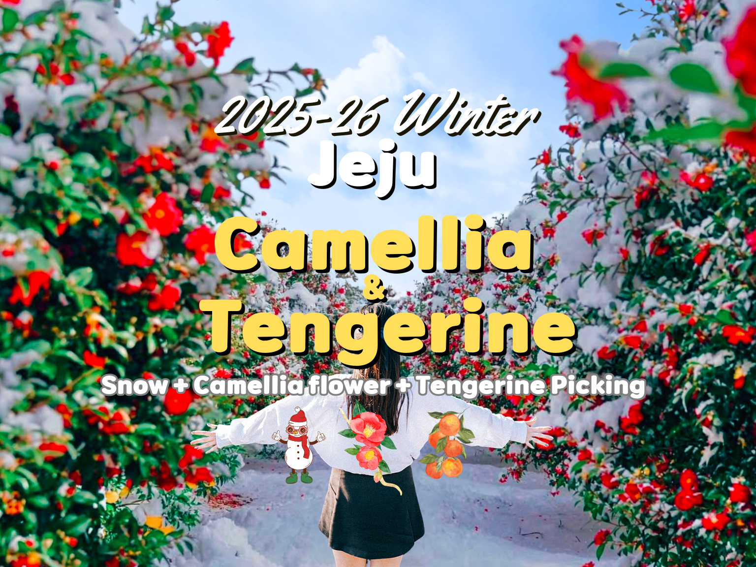 25-26 Winter Jeju (Camellia festival+ Tengerine pick + Snow) 1-day Tour |  Korea - KKday