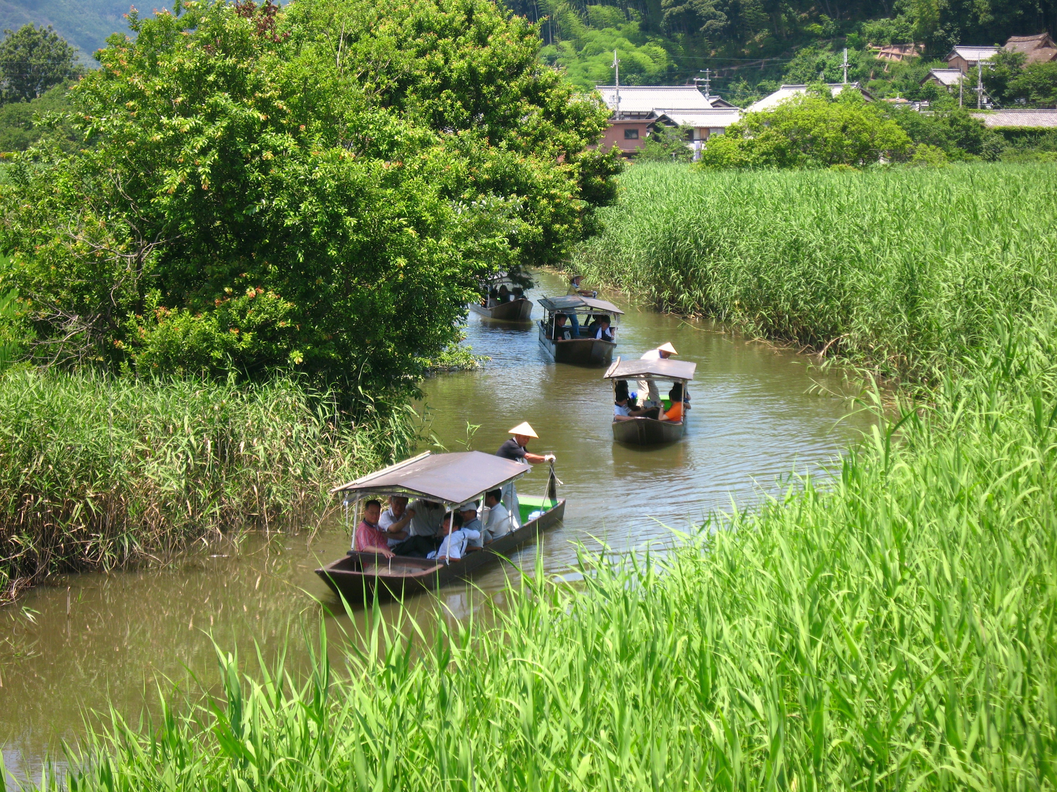 貸切）4名以上にオススメ！ゆったりのんびり大自然の中を手漕ぎ舟水郷 