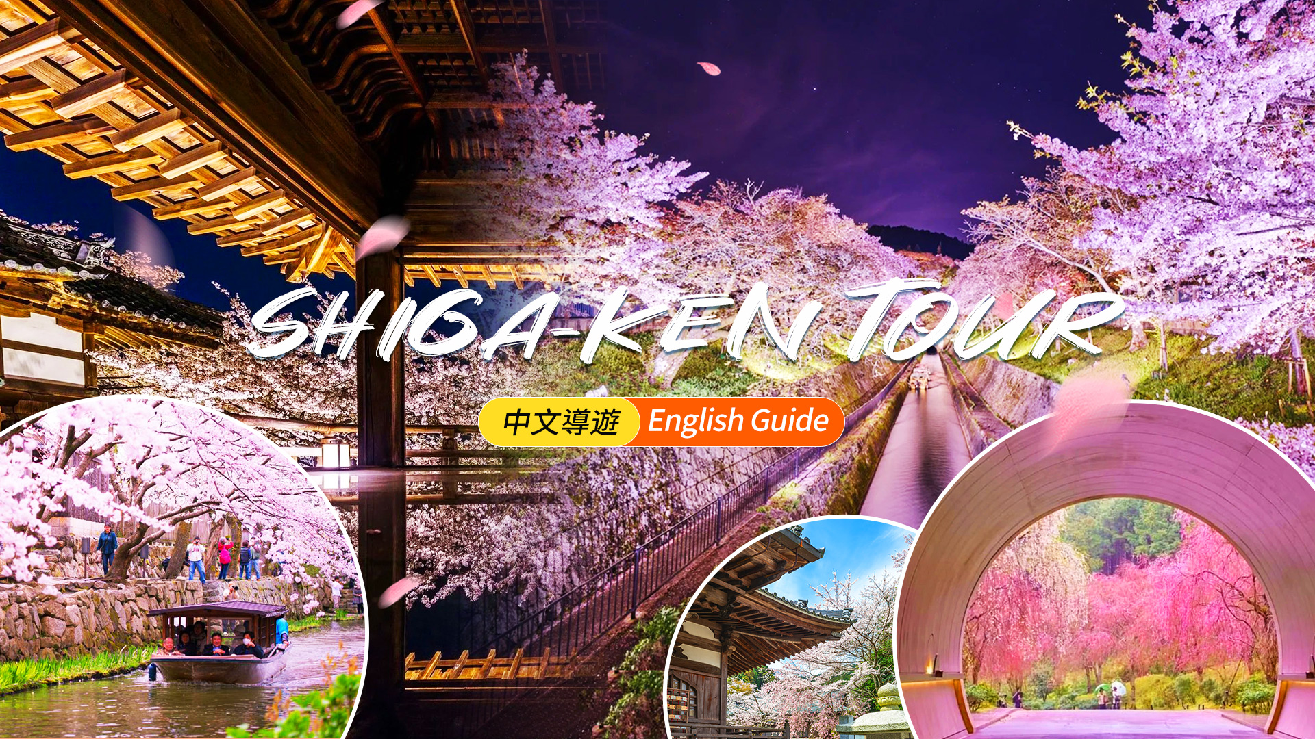 Seasonal Limited Time Offer] One-Day Cherry Blossom Viewing Tour