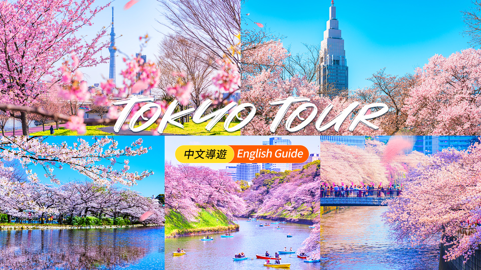 桜の季節限定】東京日帰りお花見ツアー｜新宿御苑、千鳥ヶ淵、上野公園