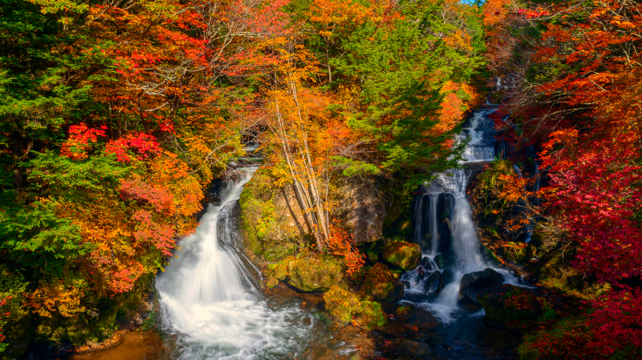 【日本日光經典一日遊】世界文化遺產東照宮&中禪寺湖&華嚴瀑布&伊呂波山道 - KKday