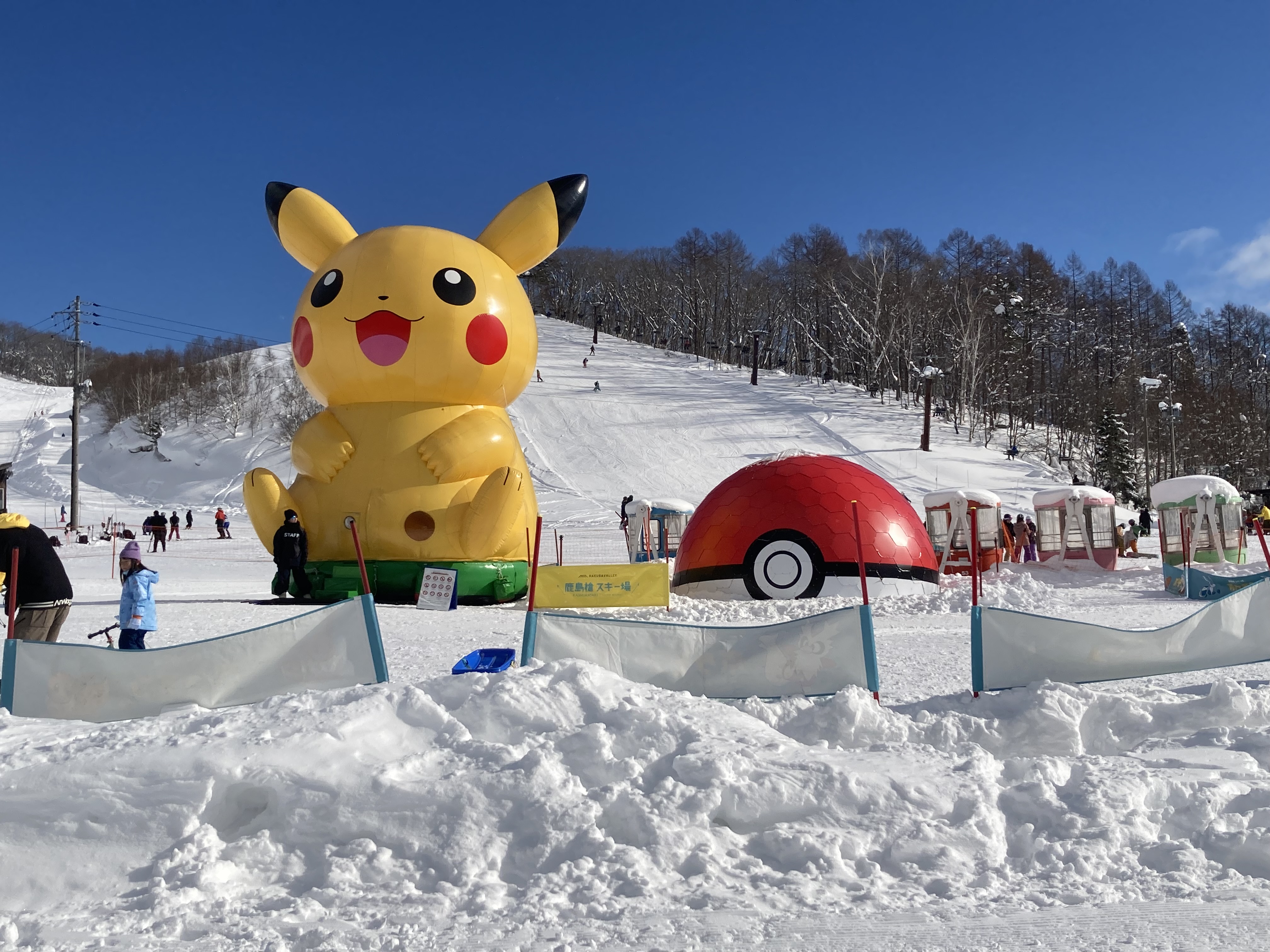 激レア　希少　スノースローライフ ポケモン 初期　2017年　20周年記念 HAKUBA VALLEY 鹿島槍スキー場 ファミリーパーク ポケモンスノー